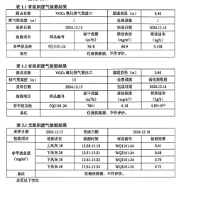 檢測報告(2024.12.31)
