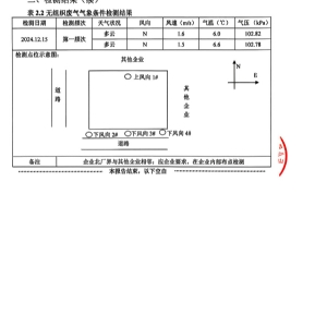 檢測報告(2024.12.31)